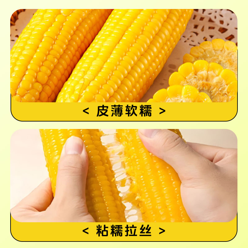 杰亩浩玉米—主图02.jpg