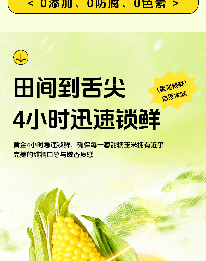 杰亩浩玉米—详情_07.jpg