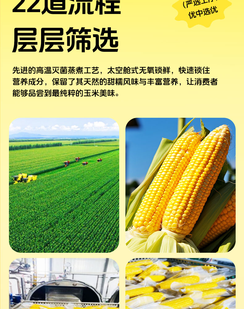 杰亩浩玉米—详情_11.jpg