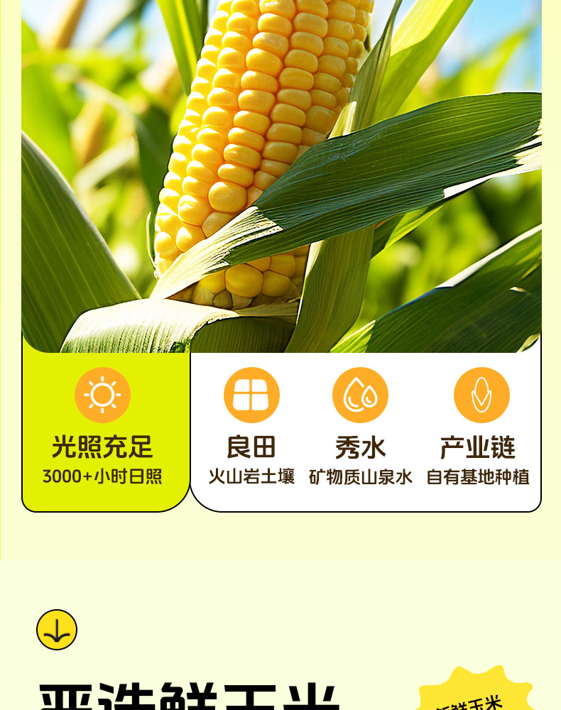 杰亩浩玉米—详情_04.jpg